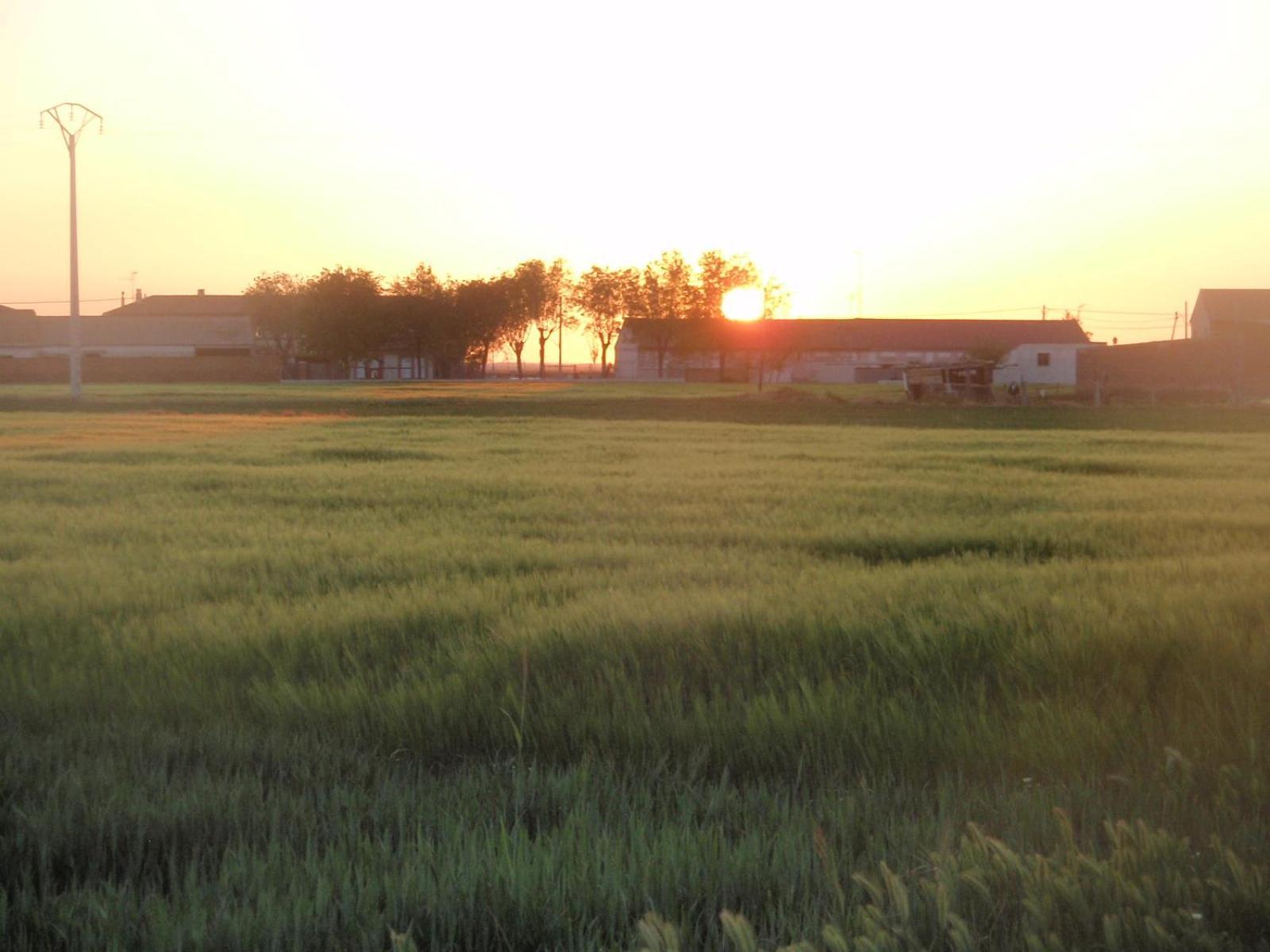 Casa Rural La Sastreria De Adanero Bagian luar foto